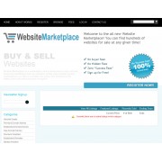 Website Auction Marketplace